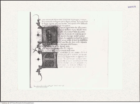 Vorderseite von bh274136_recto