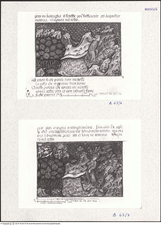 Vorderseite von bh274145_bh274146_recto