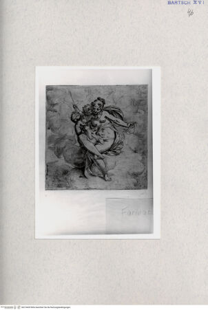 Vorderseite von  [http://creativecommons.org/publicdomain/mark/1.0/] Venus - , bh274439. Foto.