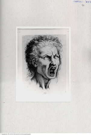 Vorderseite von  [http://creativecommons.org/publicdomain/mark/1.0/] ... - , bh274541. Foto.