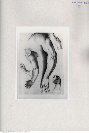 Vorderseite von  [http://creativecommons.org/publicdomain/mark/1.0/] ... - , bh274543. Foto.