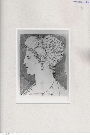 Vorderseite von  [http://creativecommons.org/publicdomain/mark/1.0/] ... - , bh274559. Foto.