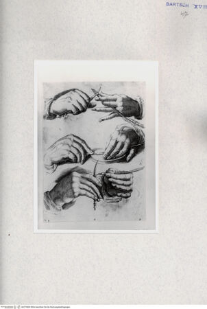 Vorderseite von  [http://creativecommons.org/publicdomain/mark/1.0/] ... - , bh274604. Foto.