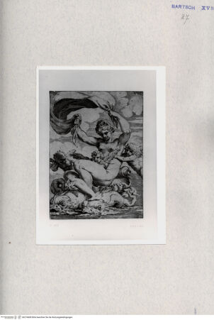 Vorderseite von  [http://creativecommons.org/publicdomain/mark/1.0/] Venus - , bh274608. Foto.