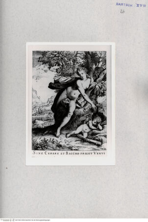 Vorderseite von  [http://creativecommons.org/publicdomain/mark/1.0/] Venus - , bh274623. Foto.