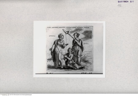 Vorderseite von  [http://creativecommons.org/publicdomain/mark/1.0/] ... - , bh274747. Foto.