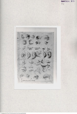 Vorderseite von  [http://creativecommons.org/publicdomain/mark/1.0/] ... - , bh274766. Foto.