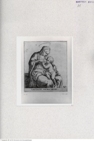 Vorderseite von  [http://creativecommons.org/publicdomain/mark/1.0/] ... - , bh274813. Foto.