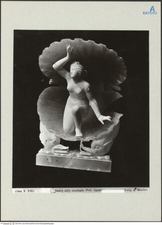 Vorderseite von bh275619_recto