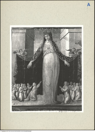 Vorderseite von bh276344_recto