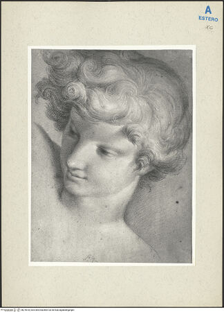 Vorderseite von bh276518_recto