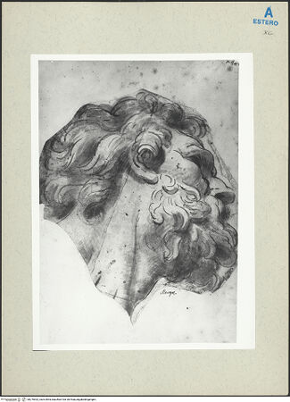 Vorderseite von bh276532_recto