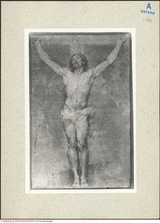 Vorderseite von bh276533_recto