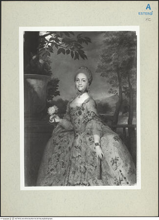 Vorderseite von bh276542_recto