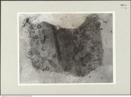 Vorderseite von bh276792_recto