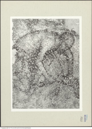 Vorderseite von bh277759_recto