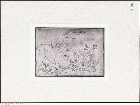 Vorderseite von bh278238_recto