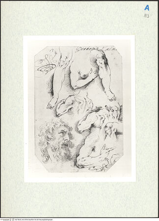 Vorderseite von bh278262_recto