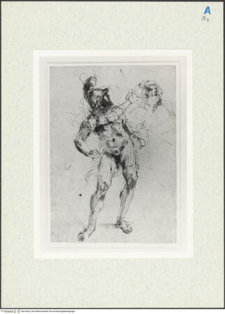 Vorderseite von bh278263_recto