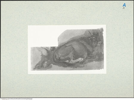 Vorderseite von bh278269_recto