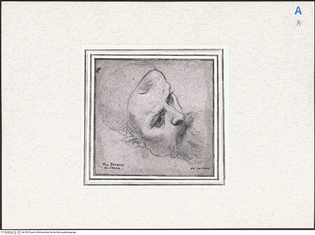 Vorderseite von bh278279_recto