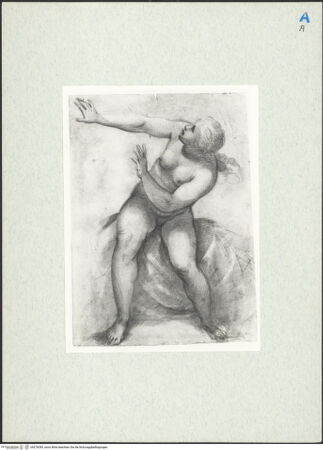 Vorderseite von bh278283_recto