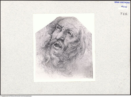 Vorderseite von bh278294_recto