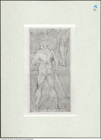 Vorderseite von bh278303_recto