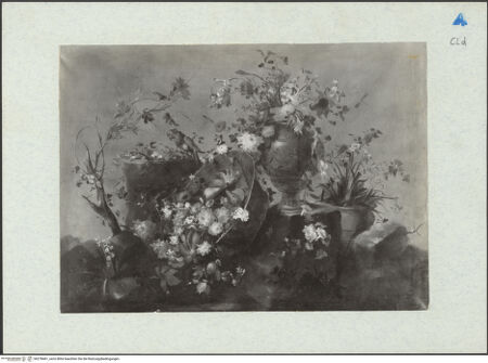 Vorderseite von bh278461_recto