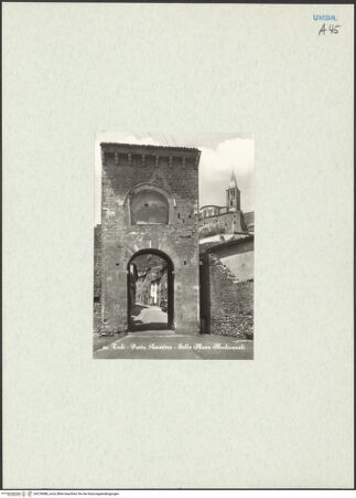 Vorderseite von bh278488_recto