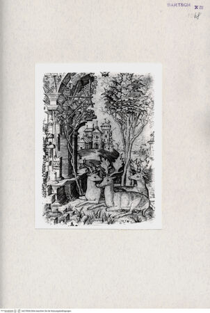 Vorderseite von  [http://creativecommons.org/publicdomain/mark/1.0/] ... - , bh278506. Foto.