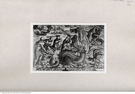 Vorderseite von  [http://creativecommons.org/publicdomain/mark/1.0/] Drachenkampf - , bh278515. Foto.