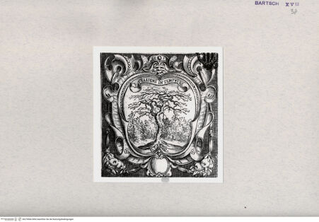 Vorderseite von  [http://creativecommons.org/publicdomain/mark/1.0/] ... - , bh278566. Foto.