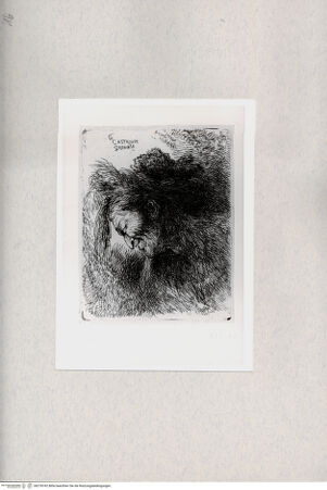 Vorderseite von  [http://creativecommons.org/publicdomain/mark/1.0/] ... - , bh278742. Foto.