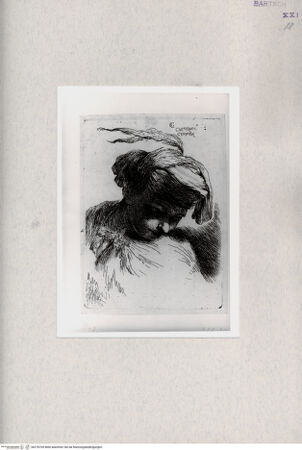 Vorderseite von  [http://creativecommons.org/publicdomain/mark/1.0/] ... - , bh278765. Foto.