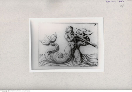 Vorderseite von  [http://creativecommons.org/publicdomain/mark/1.0/] ... - , bh279129. Foto.