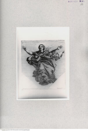 Vorderseite von  [http://creativecommons.org/publicdomain/mark/1.0/] ... - , bh279287. Foto.