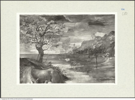 Vorderseite von bh279296_recto