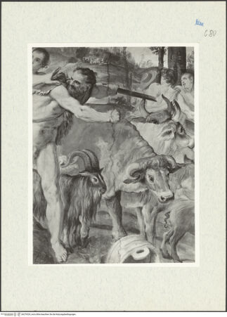 Vorderseite von bh279329_recto