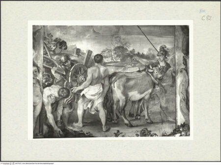 Vorderseite von bh279331_recto