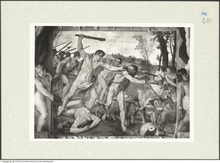 Vorderseite von bh279334_recto