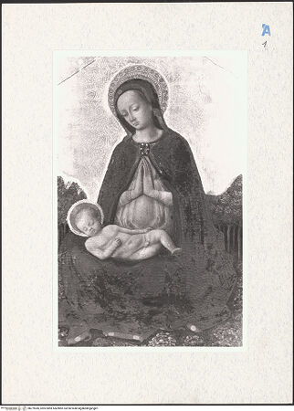 Vorderseite von bh279345_recto