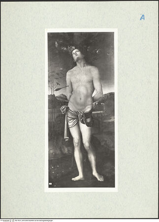 Vorderseite von bh279351_recto