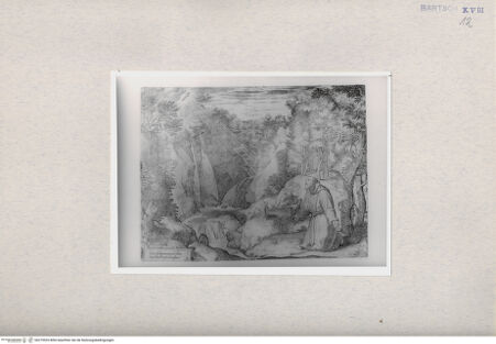 Vorderseite von  [http://creativecommons.org/publicdomain/mark/1.0/] Heiliger Franziskus - , bh279533. Foto.