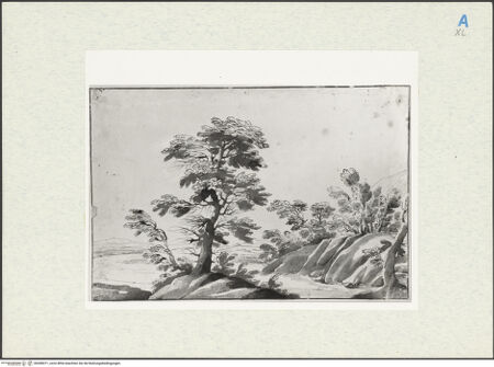 Vorderseite von bh280071_recto