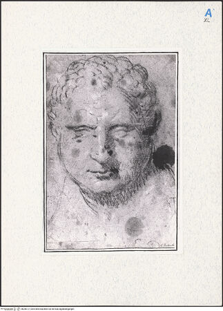 Vorderseite von bh280127_recto