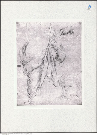 Vorderseite von bh280130_recto