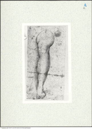 Vorderseite von bh280157_recto