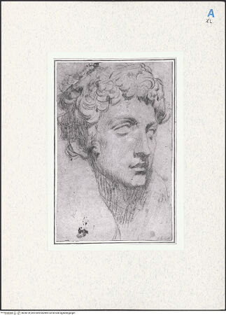 Vorderseite von bh280199_recto