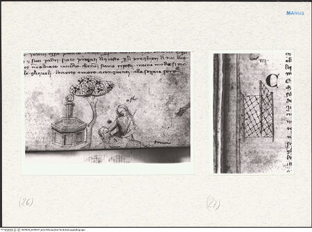 Vorderseite von bh280246_bh280427_recto